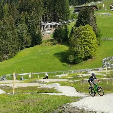 Apartman Fewo Zur Alten Schmiede Wildschönau